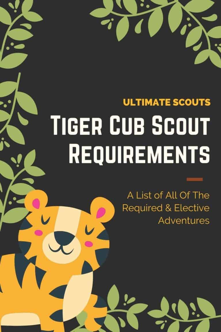 What Are The Cub Scouts Tiger Requirements? Ultimate Scouts