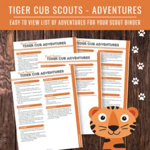 Tiger Scout Adventure Quick Overview