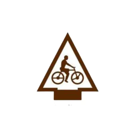 Cycling Arrow of Light Pin