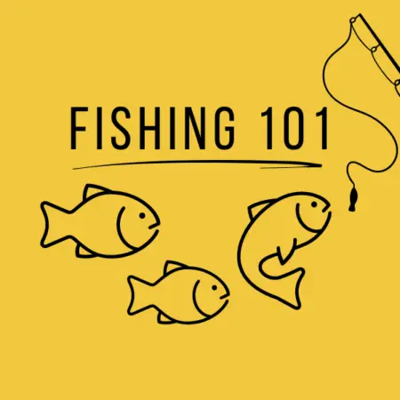 Fishing 101 Fishing for beginners