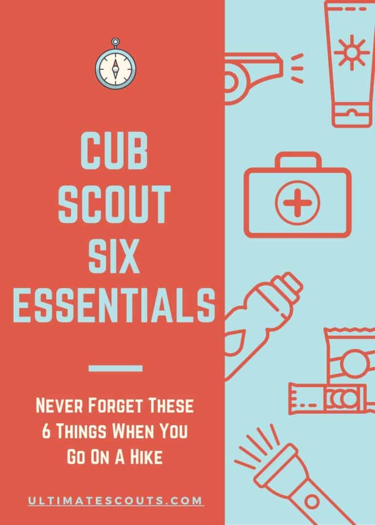 What Are The Cub Scouts Bear Requirements? (2024) Ultimate Scouts