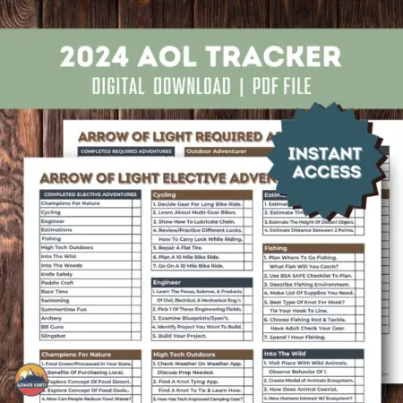 Arrow of Light Checklist Printable