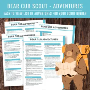Bear Scouts Adventure Overview