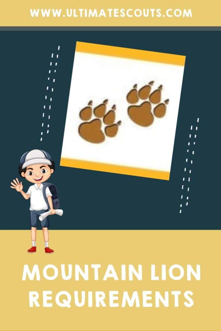 Mountain Lion for Cub Scouts – Ultimate Scouts