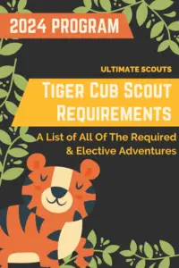 What Are The Cub Scout Tiger Requirements? (2024) – Ultimate Scouts