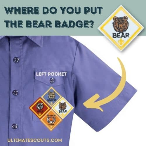 Ultimate Guide To Bear Cub Scout Awards Checklist (Free Printable ...