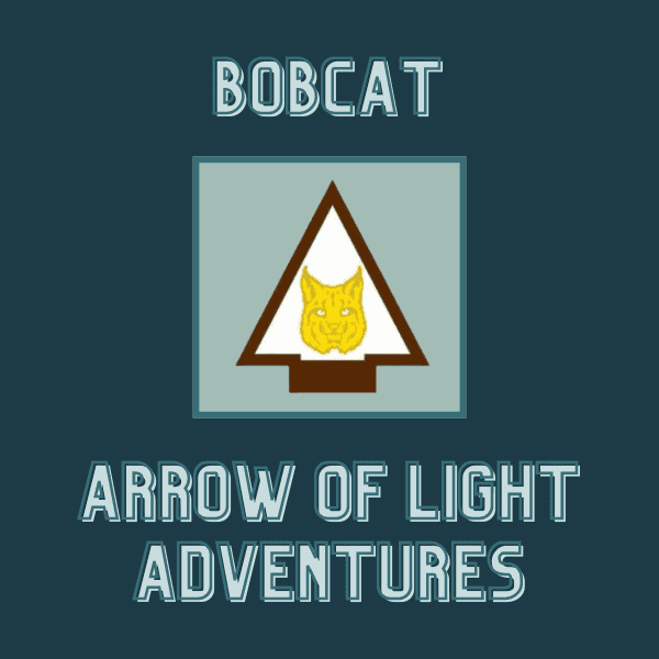 Arrow of Light Bobcat Requirements