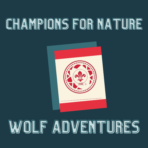 Champions For Nature Requirements