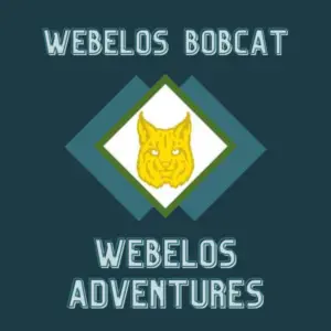 Webelos Bobcat Requirements