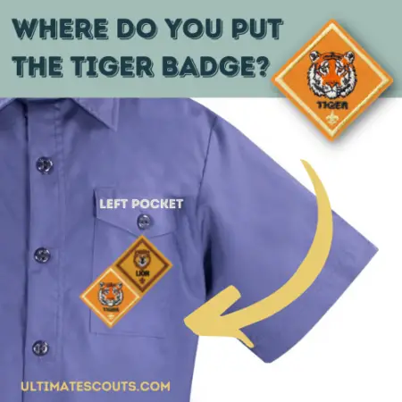 Where does Tiger Badge go?